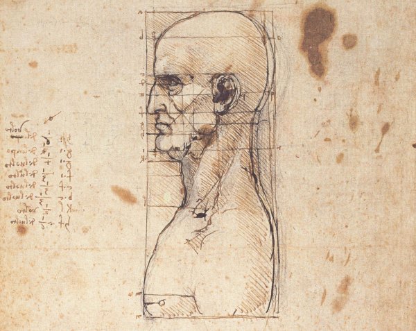 Леонардо да Винчи анатомия человека