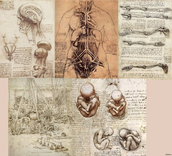 Робот Леонарда да Винчи