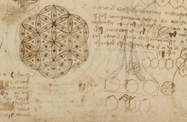 Леонардо Давинчи цветок жизни