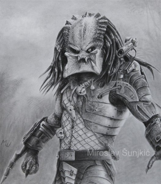 Хищник карандашом