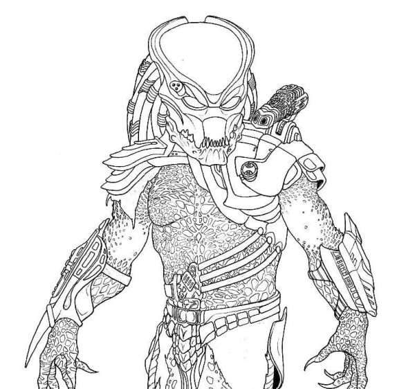 Хищник карандашом