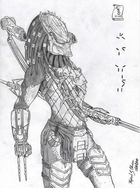 Хищник рисунок