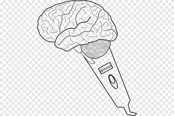 Человеческий мозг эскиз