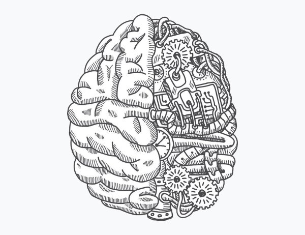 Мозги рисунок