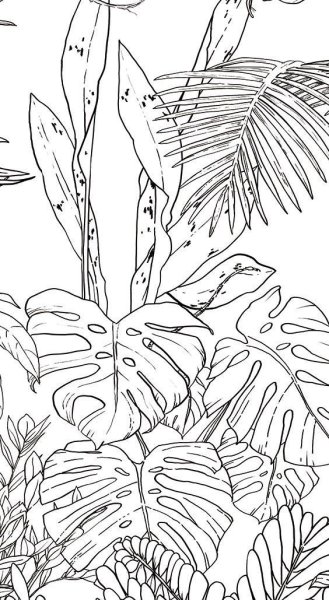 Тропические листья контур