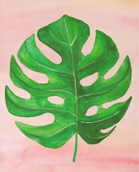 Красивые листья растений рисунки