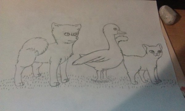 Рисунок каштанки по рассказу Чехова