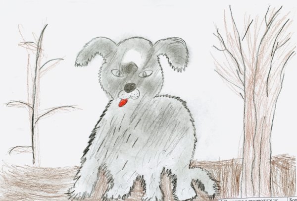 Каштанка рисунок карандашом