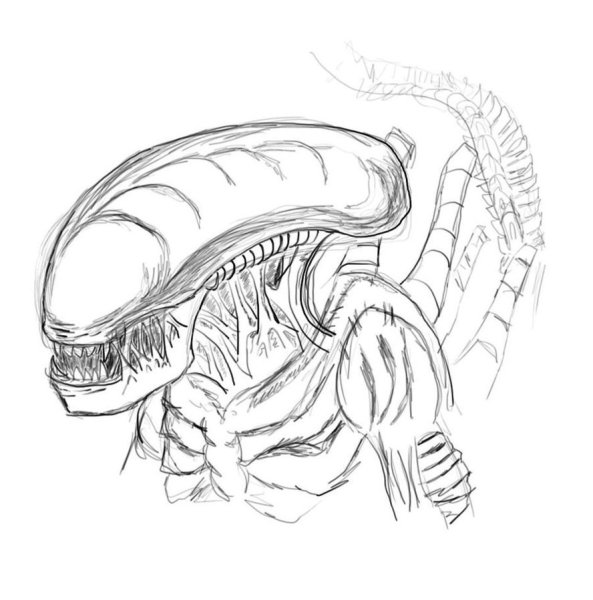 Чужой рисунок