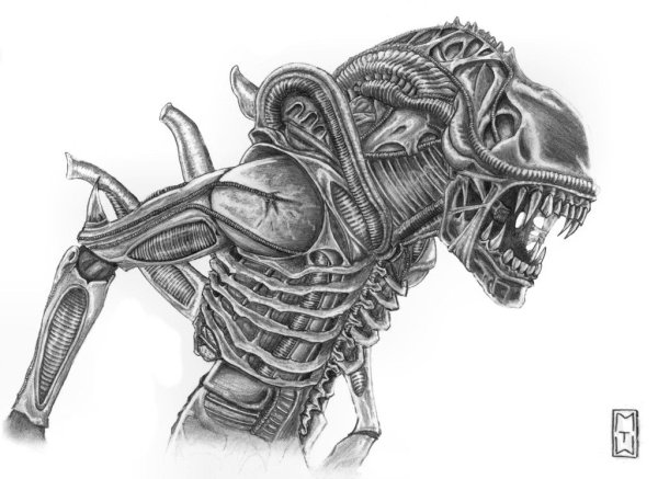 Рисунок чужого