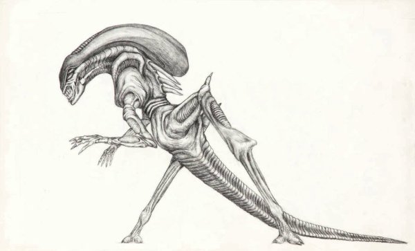 Джеймс Кэмерон чужие концепт