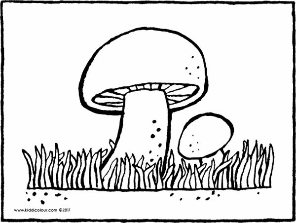 Шампиньон раскраска
