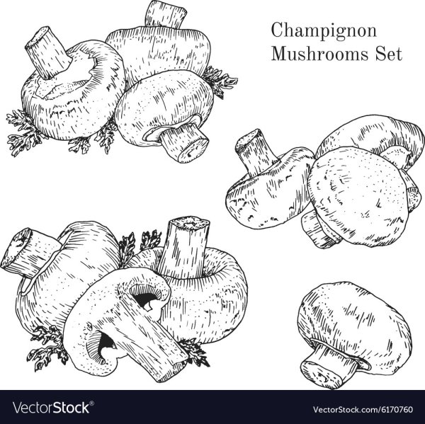 Шампиньон рисунок для детей