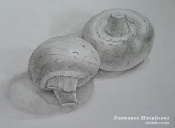 Шампиньон раскраска для детей