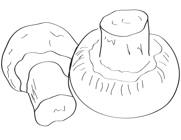 Нарисовать гриб шампиньон