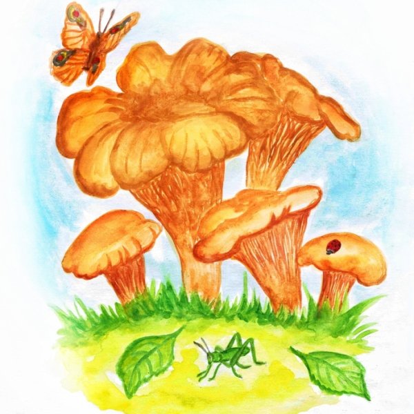 Ложная Лисичка гриб раскраска