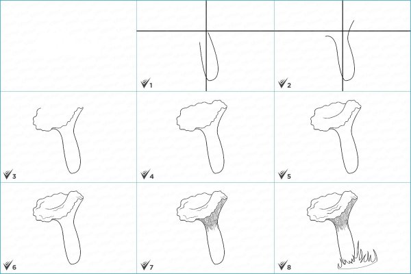 Нарисовать гриб лисичку карандашом