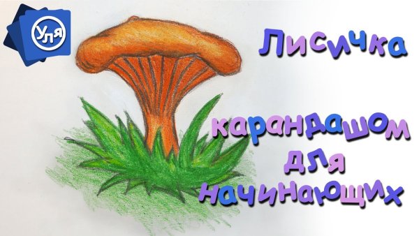 Гриб Лисичка рисунок