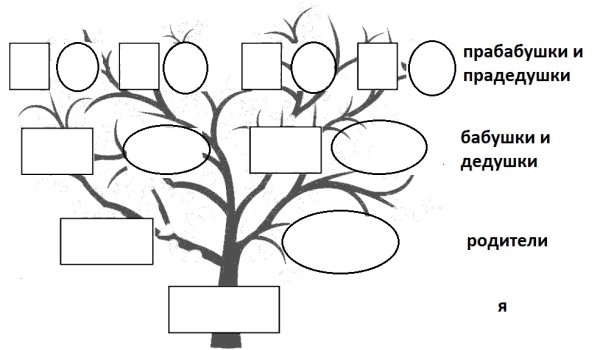 Рисунок на тему семейное дерево