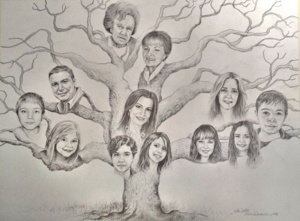 Генеалогическое Древо яблоня рисунок