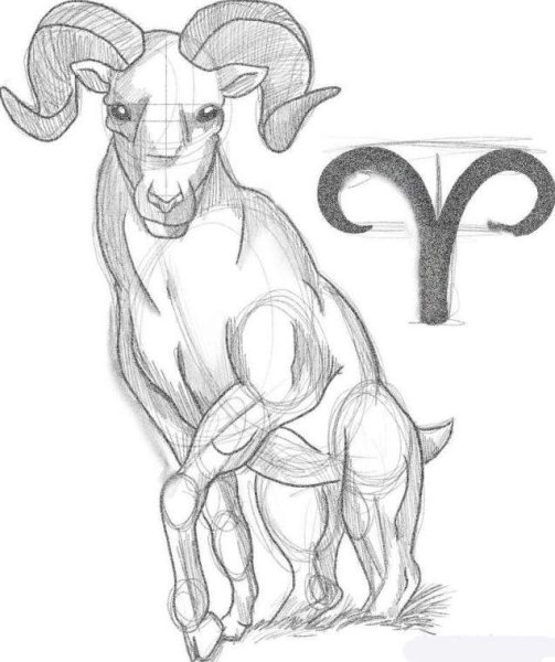 Знаки зодиака. Овен