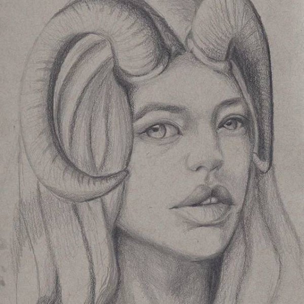 Скетч Овен бык