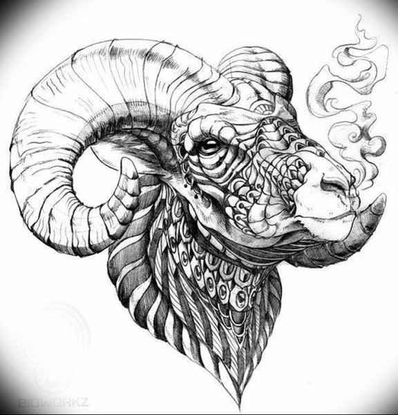 Знаки зодиака рисунки девушки