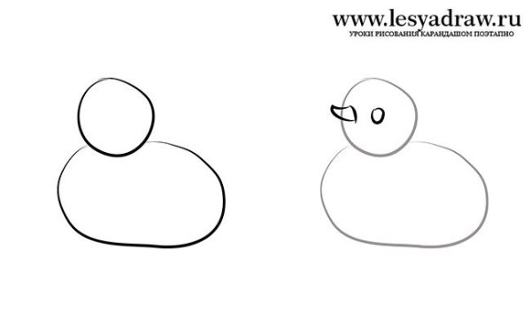 Серая шейка раскраска для детей