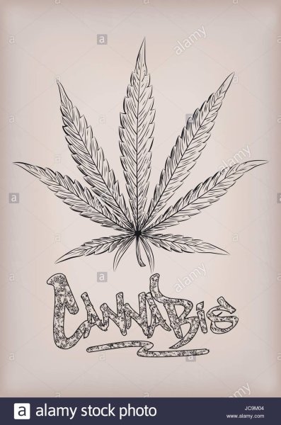 Марихуана карандашом