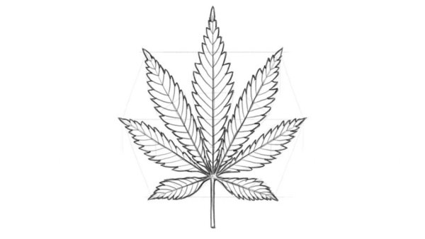 Лист конопли
