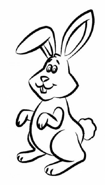 Кролик раскраска