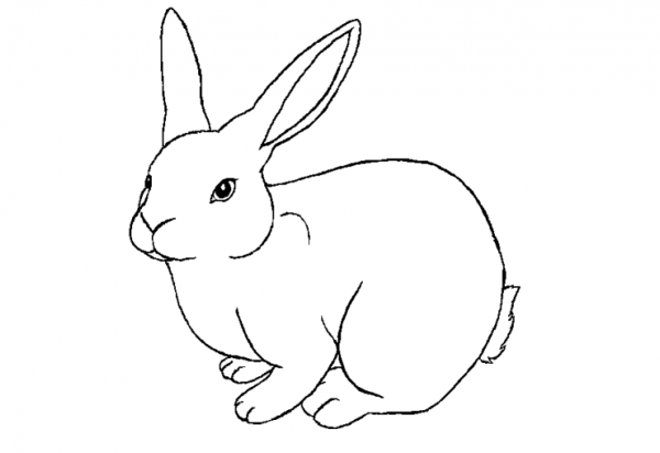 Рисование зайчика