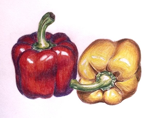 Фрукты овощи цветными карандашами