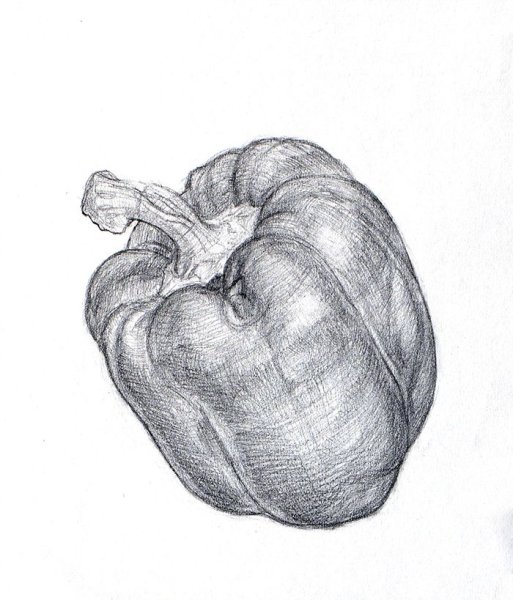 Перец карандашом