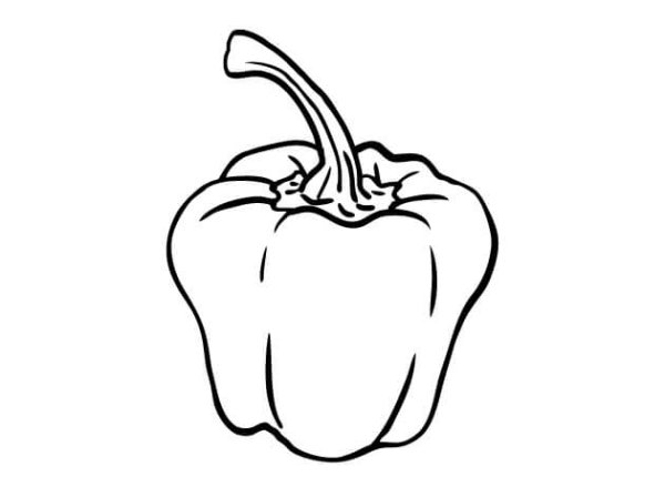 Перец контур