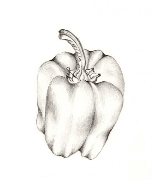 Перец карандашом