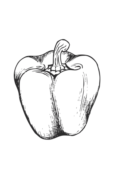 Эскизы для рисования болгарский перец
