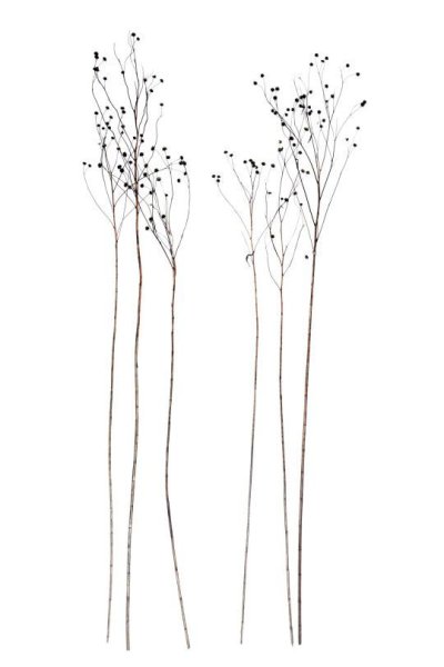 Графические зарисовки трав