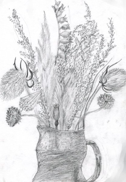 Простым карандашом сухоцвет