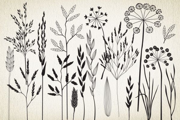 Стилизованная растительность