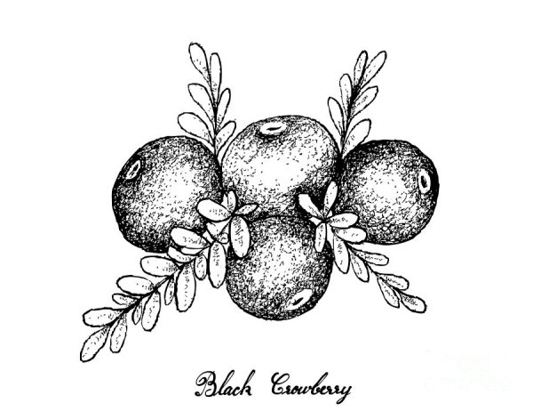 Водяной рисунок карандашом