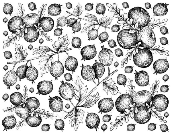 Водяной Славянская мифология