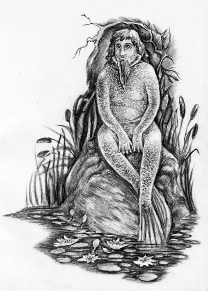 Водяника раскраска