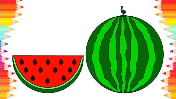 Картинка Арбуз раскраска