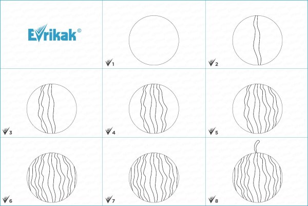 Арбуз эскиз