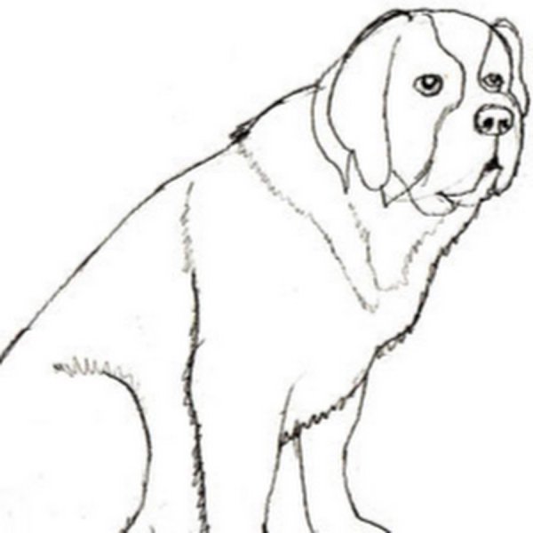 Алабай рисунок