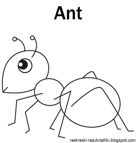 Муравей простым карандашом