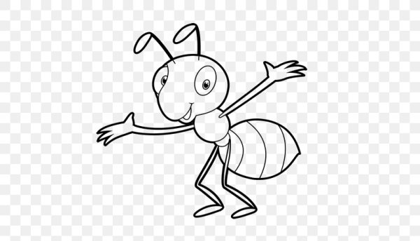 Насекомые муравей раскраска для детей 6-7 лет