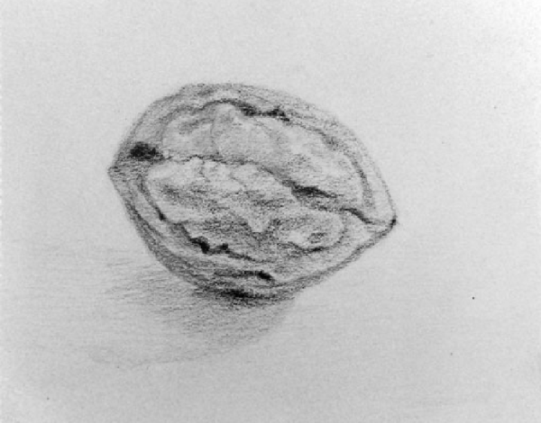 Орешки карандашом