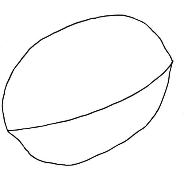 Орех раскраска для детей